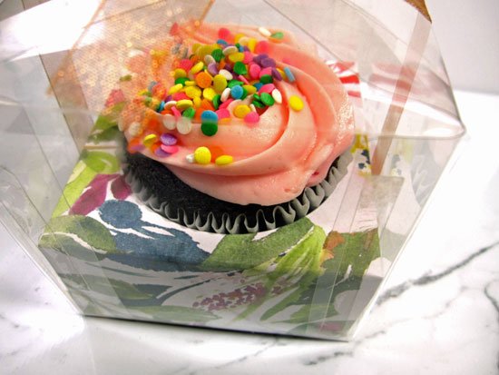 Cute Clear Cupcake Favor Box